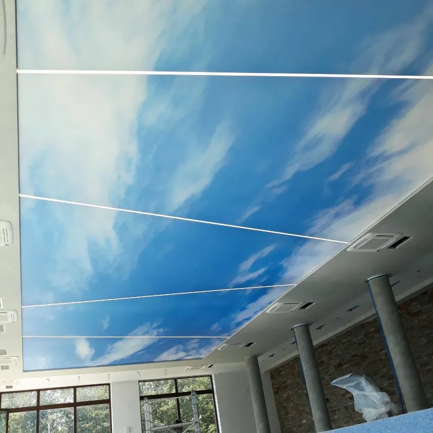 Printed Sky Ceiling, Great Falls VA - Image 1