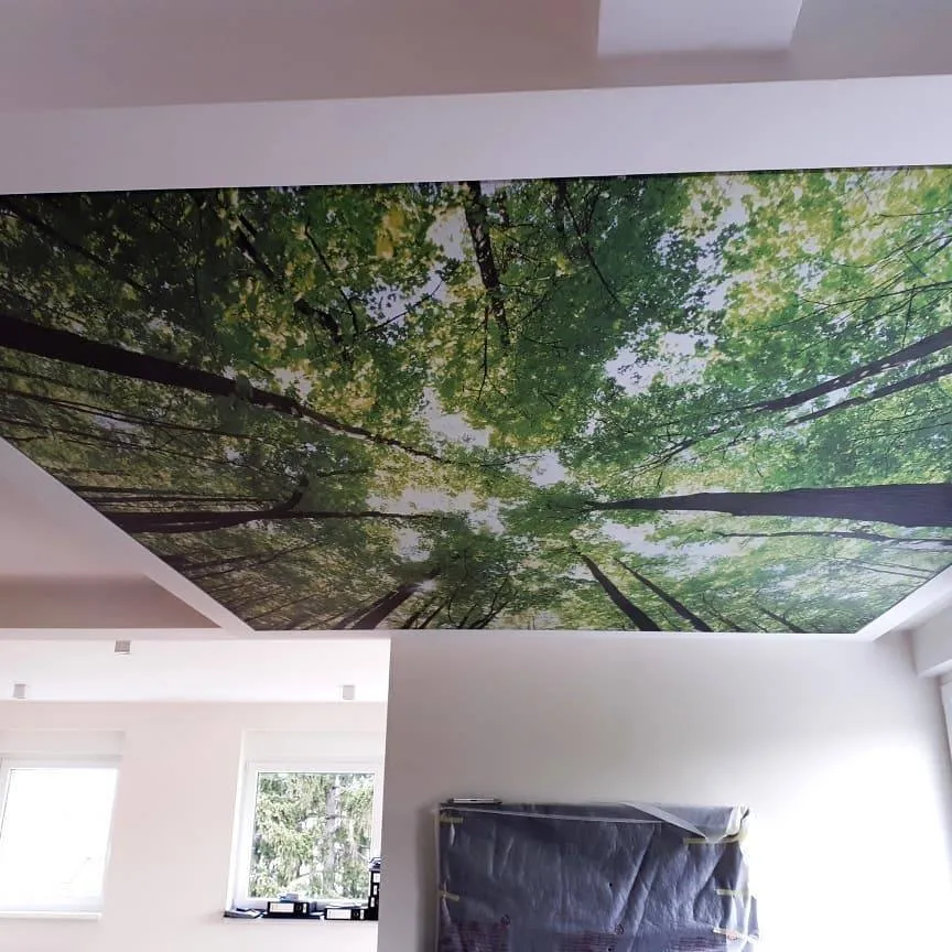 Washington, DC - Nature-Inspired Forest Printed Ceiling - Image 6